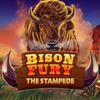 Bison Fury The Stampede