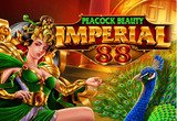 Peacock Beauty Imperial 88