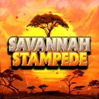 Savannah Stampede